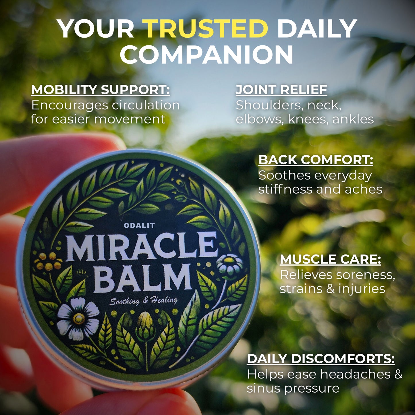 ODALIT™ Miracle Balm Herbal Powerhouse-Limited Time 80%OFF🔥LAST DAY⏰