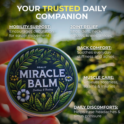 ODALIT™ Miracle Balm Herbal Powerhouse-Limited Time 80%OFF🔥LAST DAY⏰