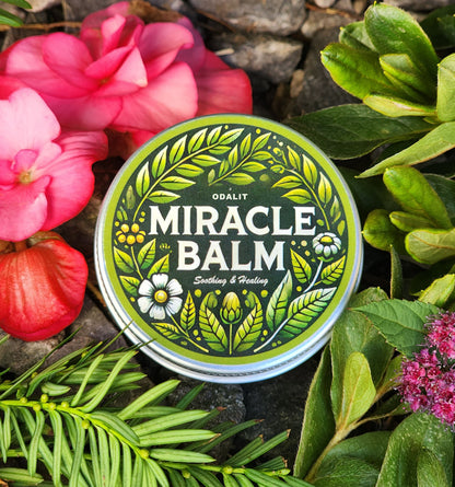 ODALIT™ Miracle Balm Herbal Powerhouse-Limited Time 80%OFF🔥LAST DAY⏰
